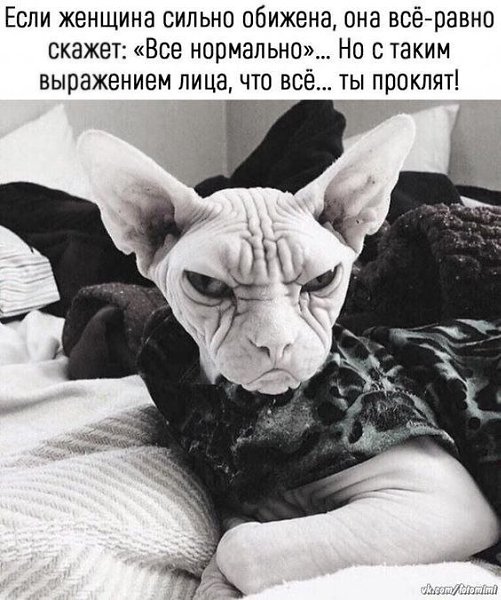 Olga - 6  2021  06:39
