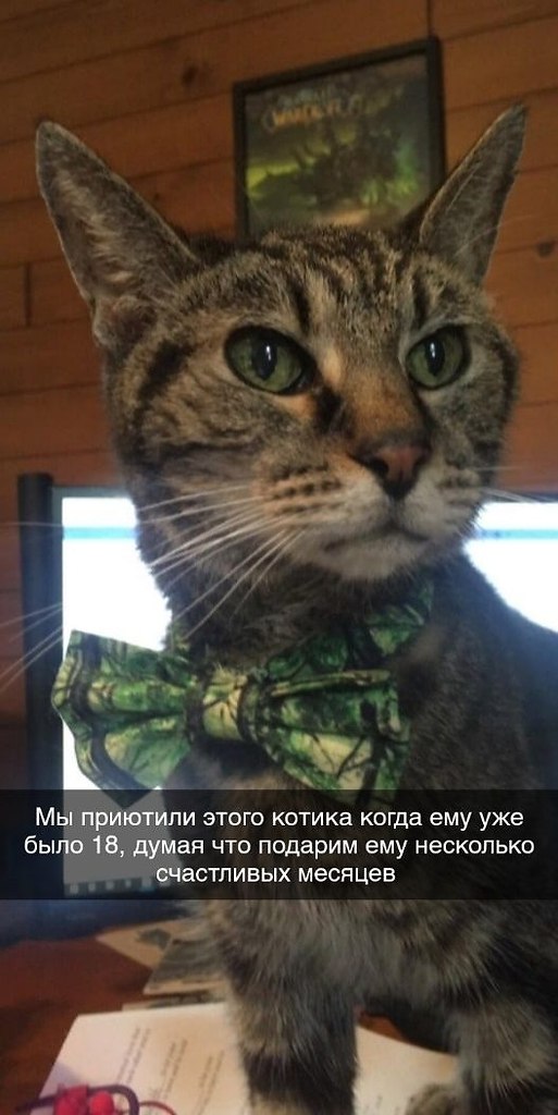 ������� � ������ ������� ��� � �����