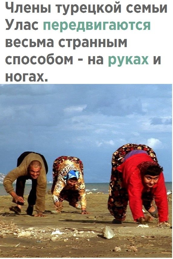    - 13  2021  16:17