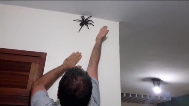     -  ... - 4