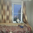 ���� ��������:maik 2134 ������"�������", �����-���������, 47 ��� - ��������� 11 ����� 2021 � ������ �������