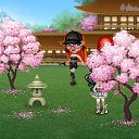 ���� ���, �����-��������� - ��������� 5 ������� 2020 � ������ �Tropikania�