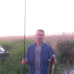 ����, ��������, 62 ����