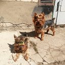 ���� �����, �������, 47 ��� - ��������� 4 ������ 2020 � ������ ��������ܻ