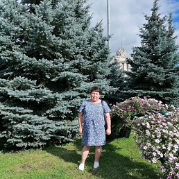 ���� �������, �����-���������, 52 ���� - ��������� 18 �������� 2020