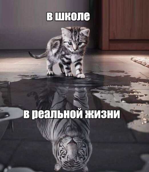 ? ,  ! - 5  2020  18:53