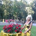 ���� ����, �������� - ��������� 22 ������� 2020 � ������ ���� ����������