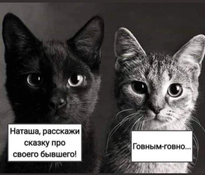  - 22  2021  18:54