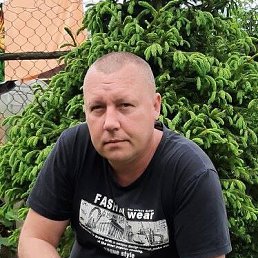 , 40, 