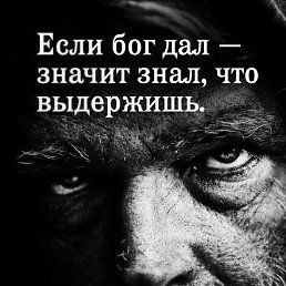  Dog,  -  17  2020