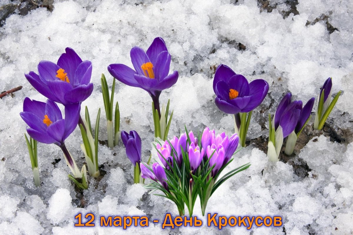   ,    . - 11  2021  23:43 - 8
