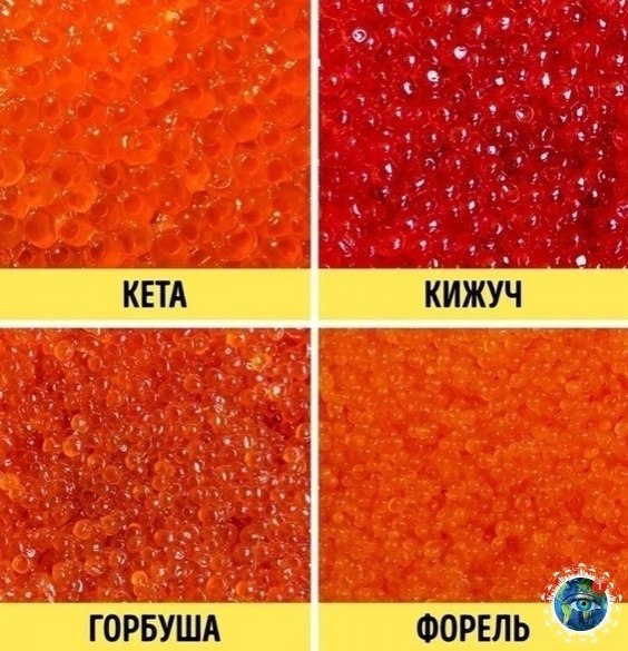 o o o, opa ac oa aece p. 