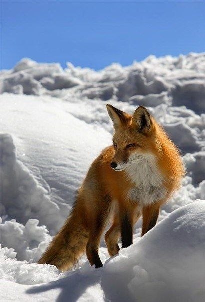   - 7  2020  23:01 - 4