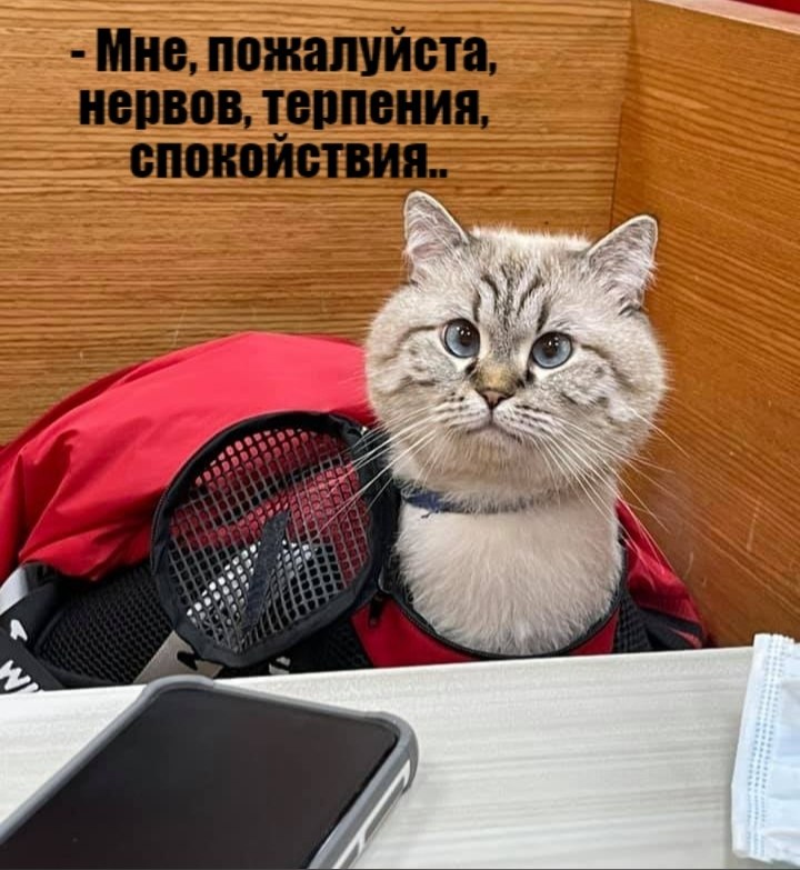       - 8  2021  18:12 - 2
