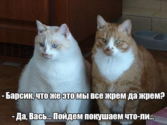    - 25  2021  21:53