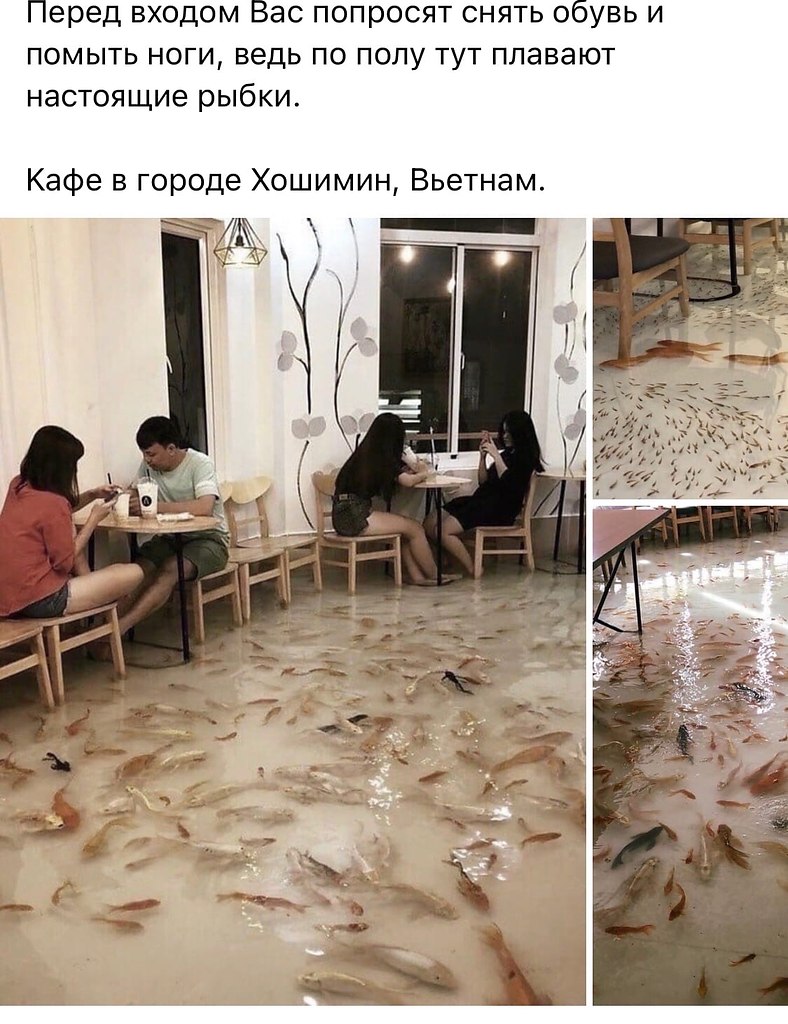  | ,  - 14  2020  18:44