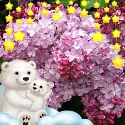 ���� ����, �������, 56 ��� - ��������� 16 ������ 2021