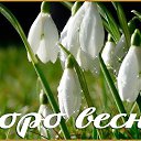 ���� �������, ���� - ��������� 31 ������ 2021 � ������ ������ ��������