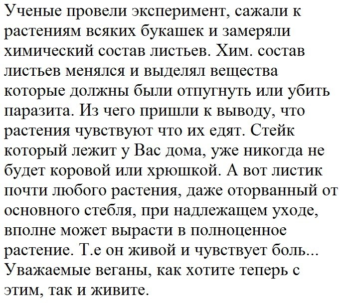 E s t h e t i q u e - 24  2020  21:21
