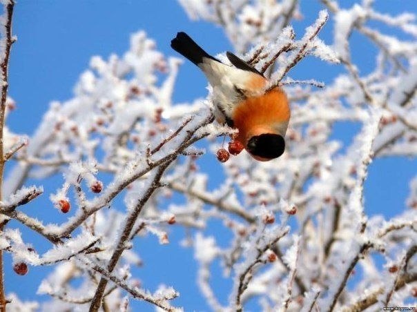   - 7  2020  23:01 - 2