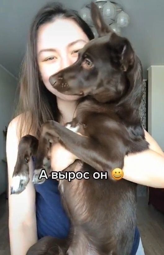 ,      - 3