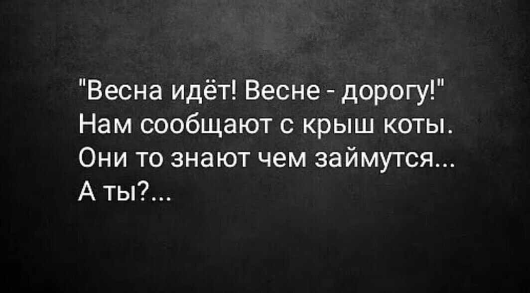 Zemlyanika - 28  2021  12:40 - 6