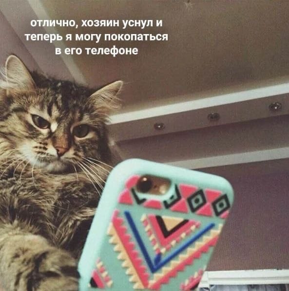 ������� �����