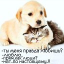 ���� S, ������ - ��������� 12 ������ 2021 � ������ ������ ��������