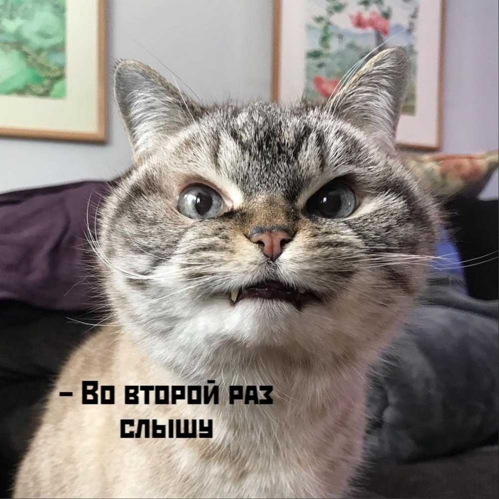       - 4  2021  10:48 - 4