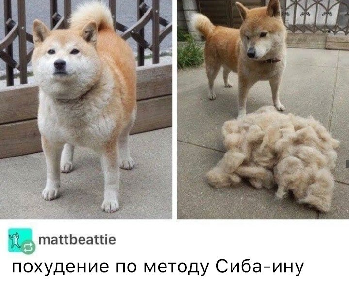  ! 