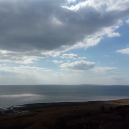 �����, �����������