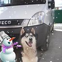���� ���������, ���, 30 ��� - ��������� 28 �������� 2020 � ������ ���� ����������