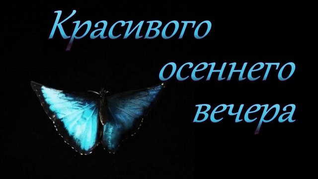   ,    . - 3  2020  18:39 - 3
