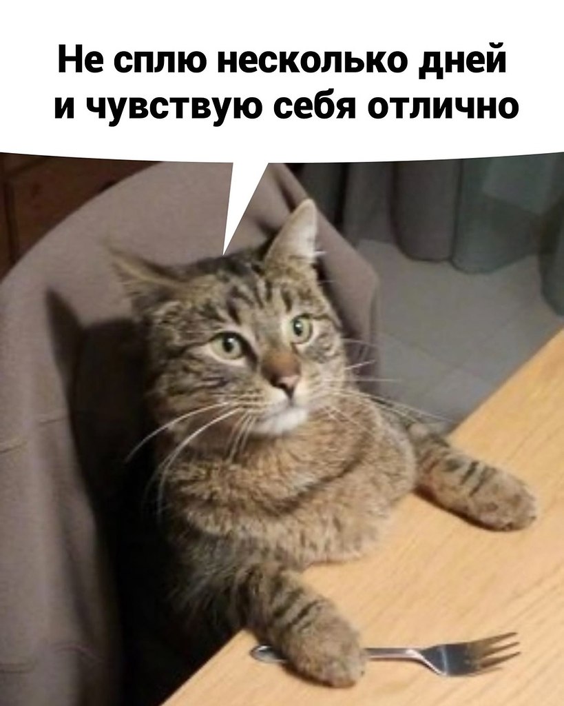 #@bon