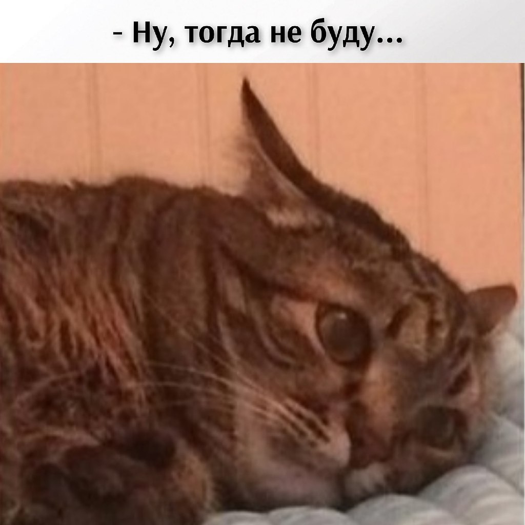       - 24  2021  11:50 - 4