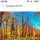 ���� �����, ���� - ��������� 28 �������� 2020 � ������ ���� ����������