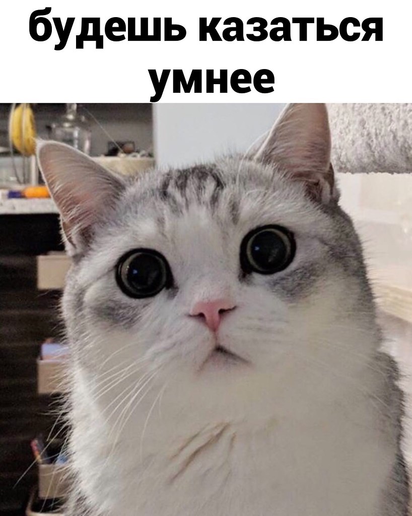 Сдаешь экзамен во время сессии и не знаешь билет. - 2