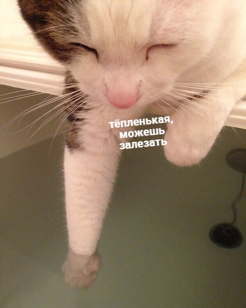  -   - ,          - 2