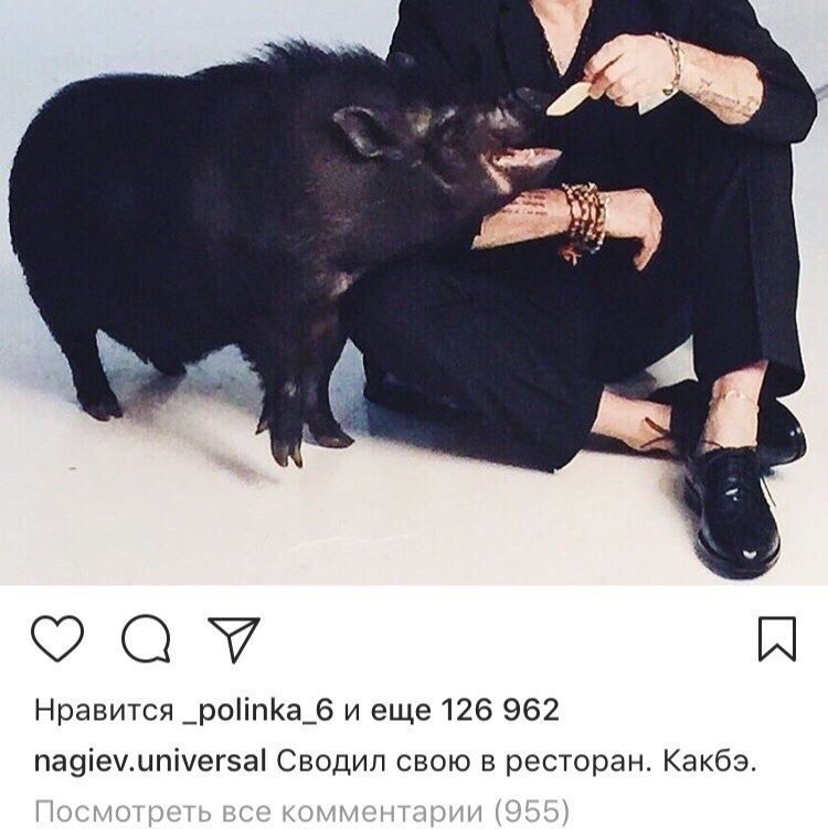        . - 7