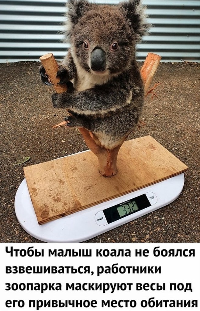 LIFE -  - 23  2020  18:46