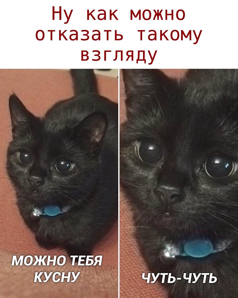 ������ - 10 ������� 2020 � 21:00