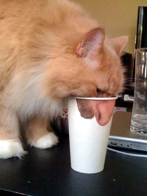      - 3