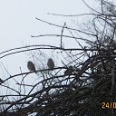 ������� ���� ������ �� ������ � ���� � ������������� ���������, ��� ����� �������... :-) �� ������� ������