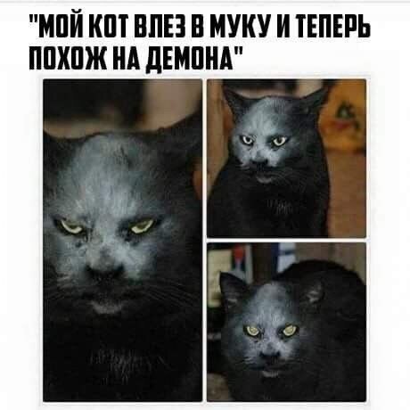    - 26  2020  19:09