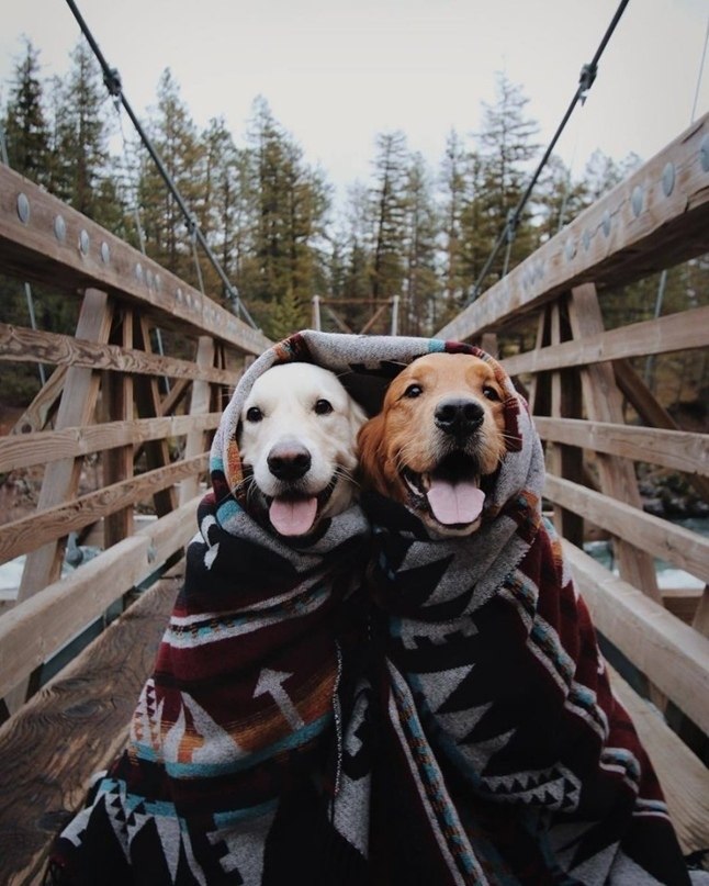 ?    !  !     !    ,    ... - 2