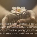 ���� ��������, ������, 50 ��� - ��������� 19 ������ 2020 � ������ ���� ����������