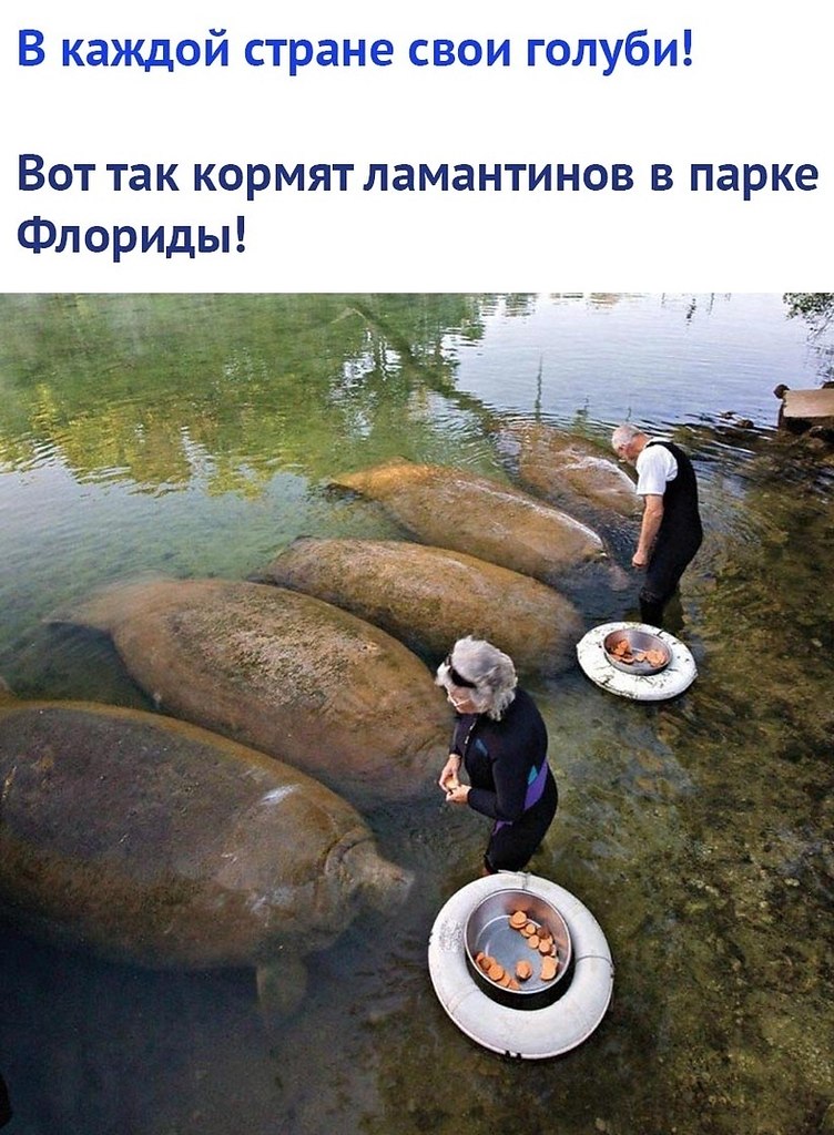 B���a�e �o�y�a�, ��� ��o �����).�c� � ����� � ����������x