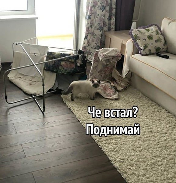      ?! - 2