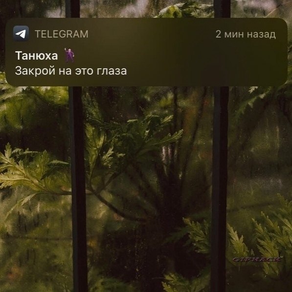 Лyчшиe дpyзья вceгдa пoддepжaт и paзвeceлят... Идeи для жизни - 4