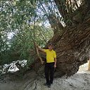 ���� ������, ������, 52 ���� - ��������� 12 �������� 2020 � ������ ���� ����������